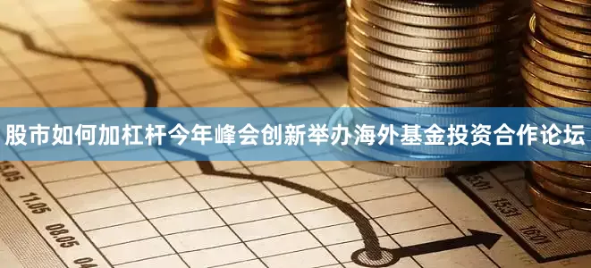 股市如何加杠杆今年峰会创新举办海外基金投资合作论坛