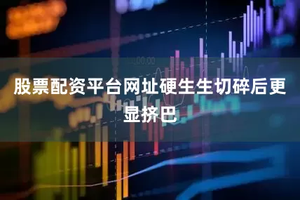 股票配资平台网址硬生生切碎后更显挤巴